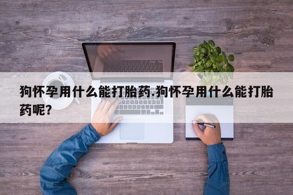 打胎药购买方式狗怀孕用什么能打胎药.狗怀孕用什么能打胎药呢？