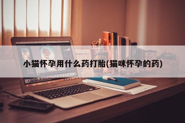 打胎药购买方式小猫怀孕用什么药打胎(猫咪怀孕的药)