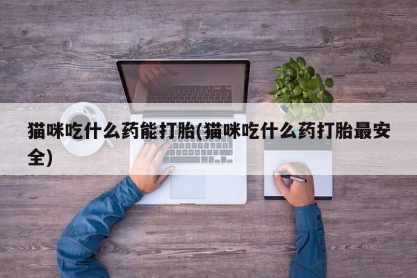 打胎药购买方式猫咪吃什么药能打胎(猫咪吃什么药打胎最安全)