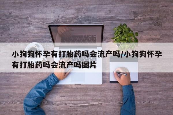 打胎药购买方式小狗狗怀孕有打胎药吗会流产吗/小狗狗怀孕有打胎药吗会流产吗图片