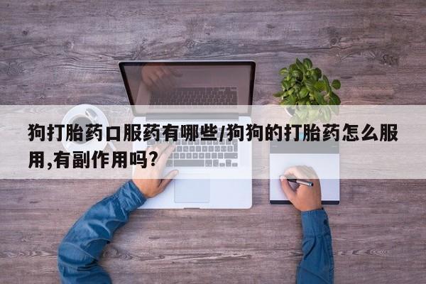 打胎药购买方式狗打胎药口服药有哪些/狗狗的打胎药怎么服用,有副作用吗?
